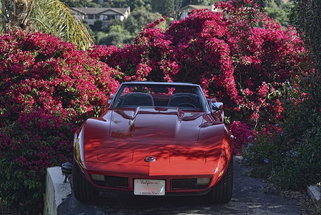 nikon nikkor 85mm 1.8 d800 C3 Corvette 1973 all red bugamvillea