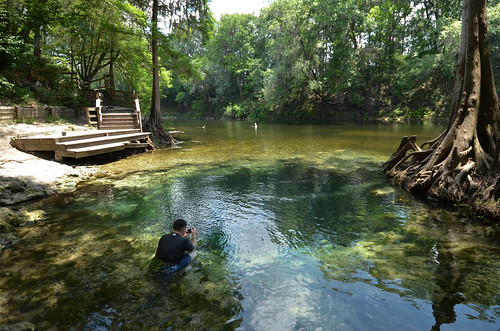 water forest river spring woods florida springs freshwater potspring withlacoochee withlacoocheeriver