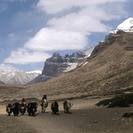 5 Tibet Kailash westdal met yaks
