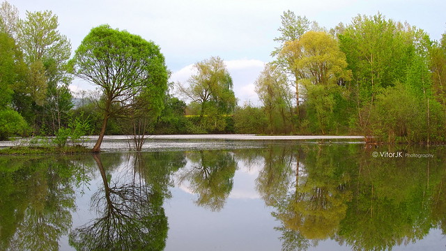 Czech Spring Landscape