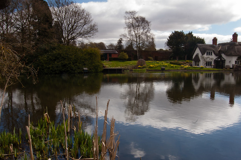Town Pool, Badger