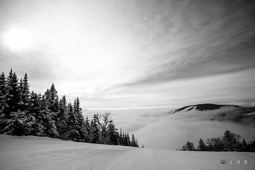 bw cloud white black ski mountains color tree fog clouds canon landscape heaven track voigtlander 5d 20mm scape slope stoneham skislope skopar snowslope 5dc 5dclassic