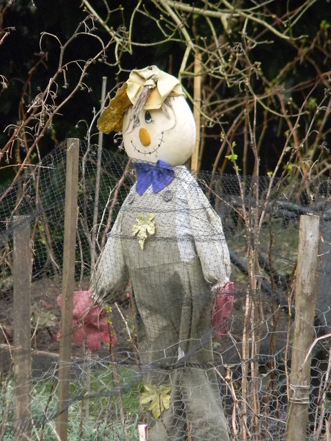 Scarecrow, Shere Guildford to Gomshall