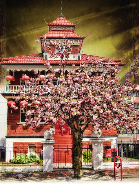Spring in Chinatown series