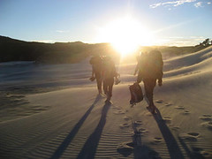 "The Sand Dunes of Wharariki"  -- After a night of sleeping in a cave and waking up to a seal and her pups basking in the morning sun, students on the New Zealand Program tramp back to the car. Wharariki Beach (Archway Islands), South Island, New Zealand