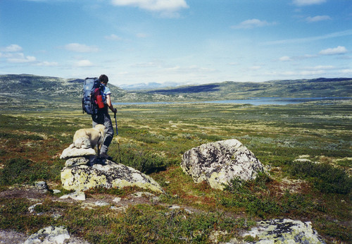 pentaxpc505 norway norwegen analog film 90er mountains 1999 kodakgold200