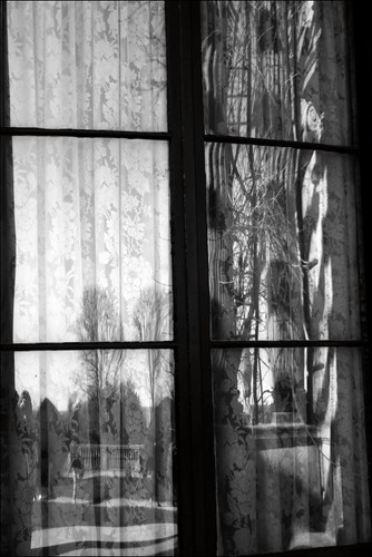 trees window reflections panes newport curtains windowpane windowreflection windowpanes newportri windowreflections blackandwhiteimage sheercurtains thebreakersmansion