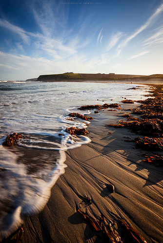 beach dingieshowe deerness orkney mainland scotland uk island sand seaweed sea seascape water waves sky composition rural countryside country sunny weather blue landscape northsea shadows waterscape dslr canon eos 5dmkii fullframe ef1740 wideangle colours