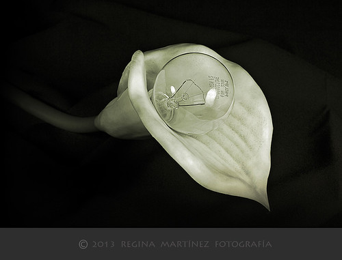 Afinidades _ Affinities by Regina Martínez/ Off/ Pensando/ Thinking