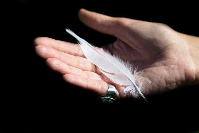 Feather in Hand