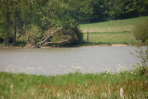 rutland water 123 | by minbarigirl