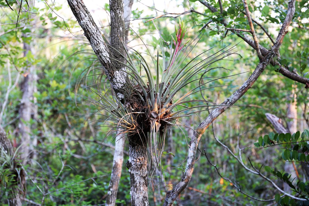 Kirby Storter Nature Trail