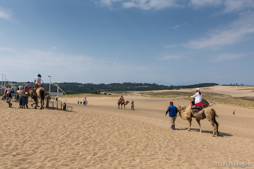 Montar en camello, una de las actividades en las dunas