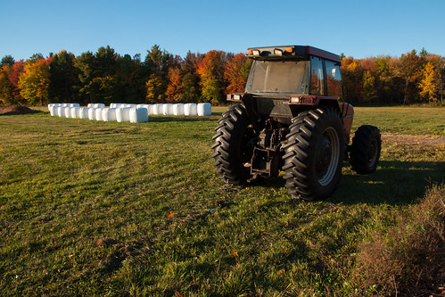 Case by DjD-567, Ready to go at sunrise caseinternational red tractor field farm nh case boscawen hay autumn newengla