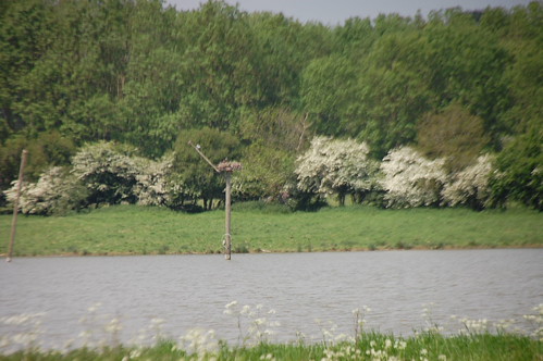 rutland water 092 | by minbarigirl