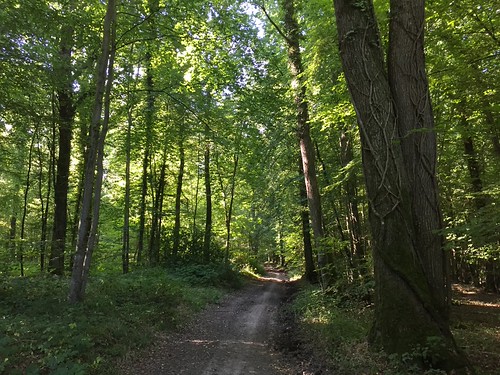 IMG_2195 by BaladesEnNormandie, Colline entre Douy et Touques