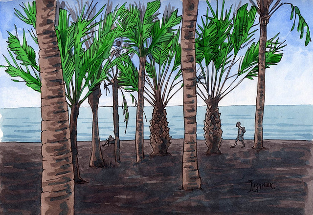 Palm trees next to seashore