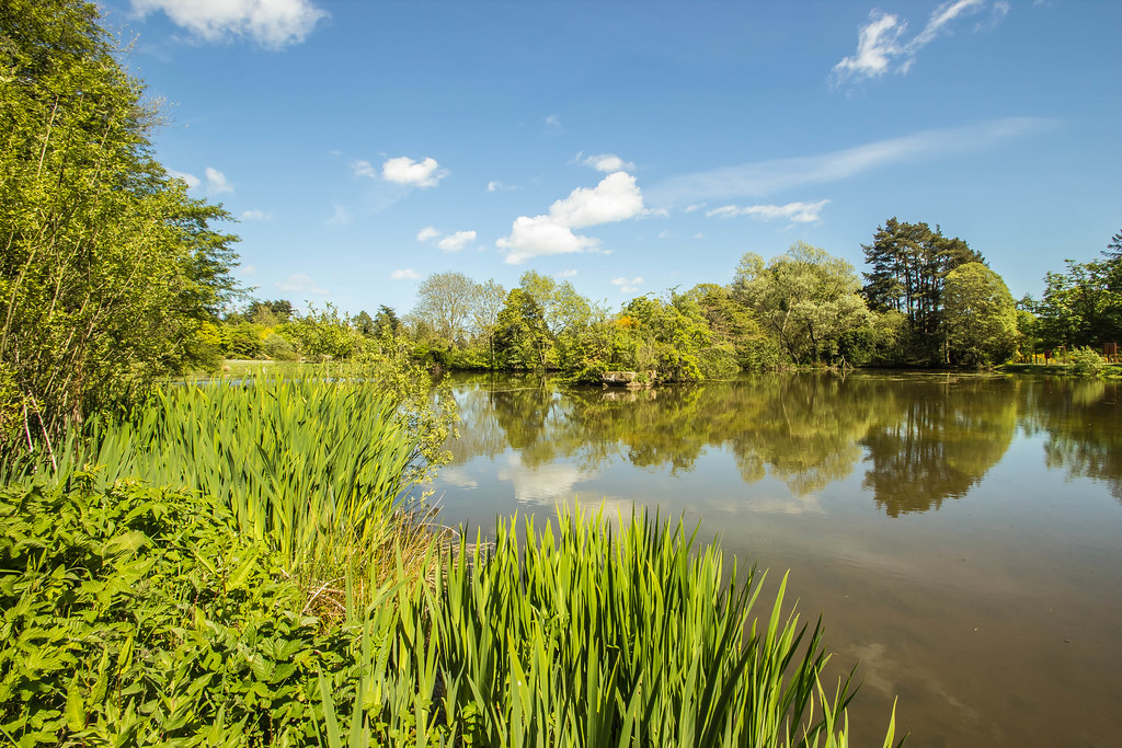 Craigtoun Park | Pond Reflection's | crynet1 | Flickr