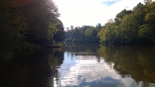 pond mahockney mahockneygardens