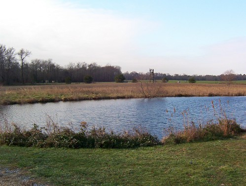 Photo of farmland next to a river