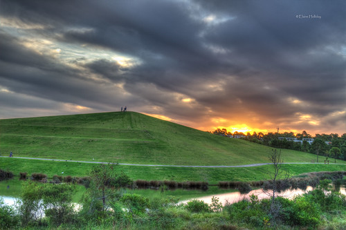 Kronos Hill, Sydney Olympic Park by loobyloo55, trees sunset orange green water grass canon hill sydney australia hdr sydneyolympicpark