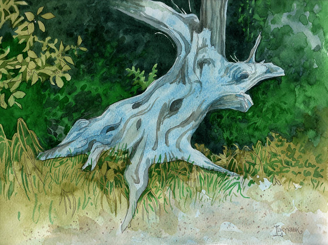 Tree stump