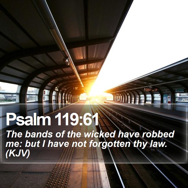 Daily Bible Verse - Psalm 119:61