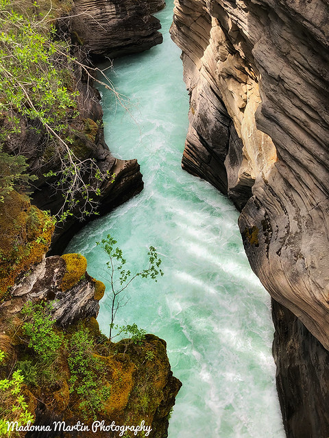 downstream of Athabasca Falls