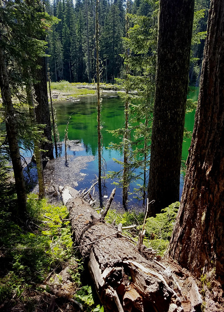 Blue Lake. Gifford Pinchot National Forest.