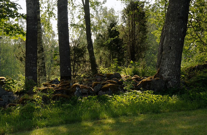 20180523-049F | bei Tivedstorp. Västergötland - Närke / Schweden, 23.05.2018