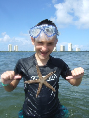 Brian finds a beaded starfish.