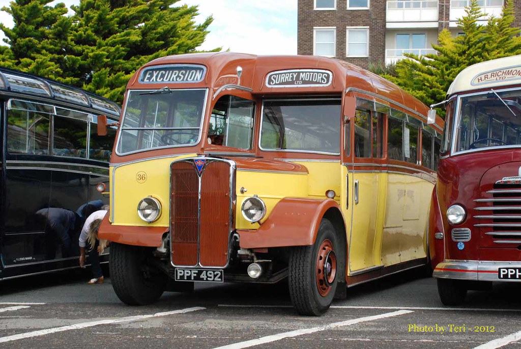 1951 AEC Regal MkIII AEC A217 carr Verheul GTW 340 | Bus 