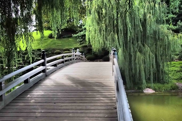 Garden Bridge and Willows
