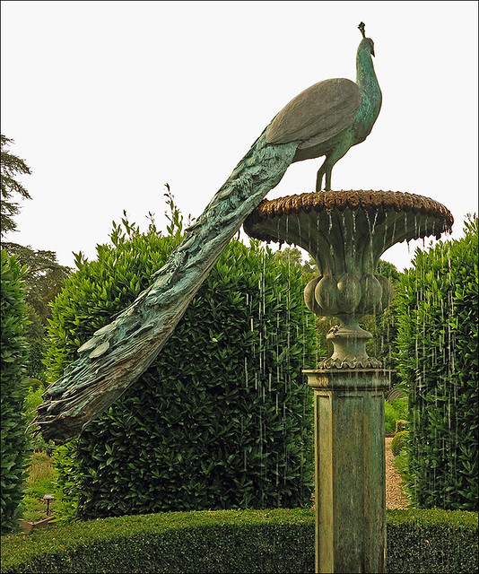 Peacock in the Fountain