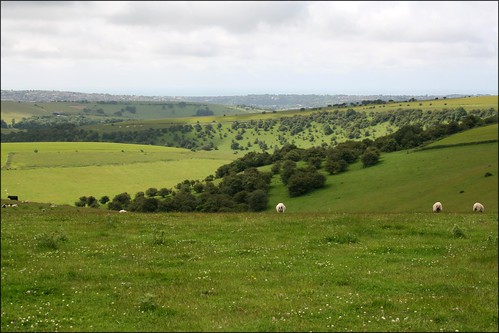 The South Downs near Ditchling Beacon 