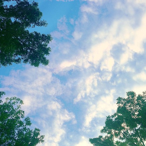 trees sunset summer sky ny newyork tree nature clouds forest square relax outside outdoors branch dusk branches relaxing squareformat hammock skyward upward lookingskyward lookingupward minoa iphoneography instagramapp uploaded:by=instagram