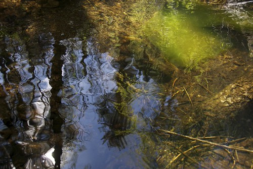 Surface Time, shadow wild brown mountains newmexico green pool leaves forest walking morninglight spring sticks log stream solitude hiking sunny pebbles solidarity ripples algae twigs gravel blackrange eastrailroadcanyon