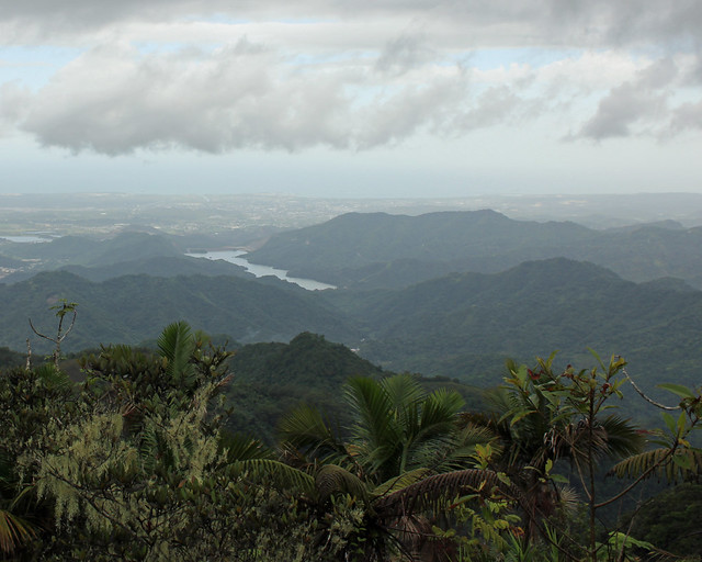 Cordillera Central, Puerto Rico