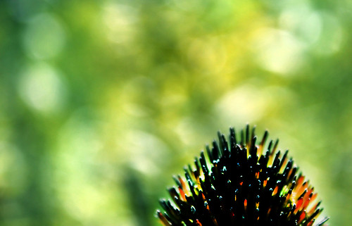 Nautral Abstract | by matthewtempleton