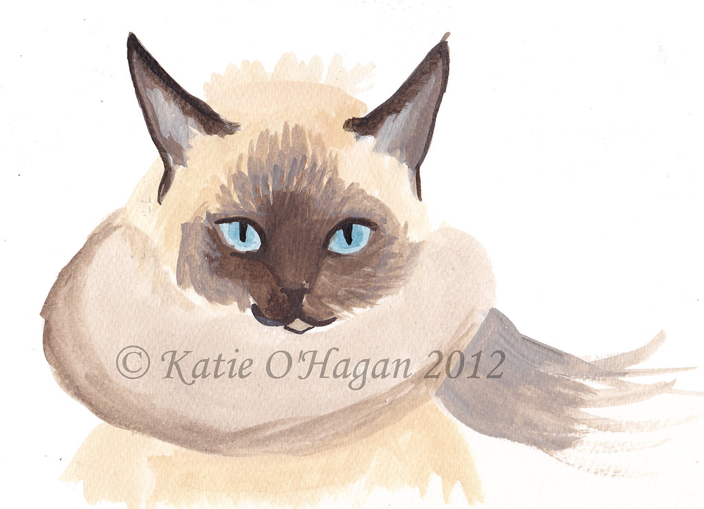 siamese cat drawing