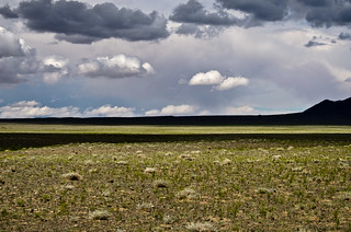 Gobi desert Landscape shadows