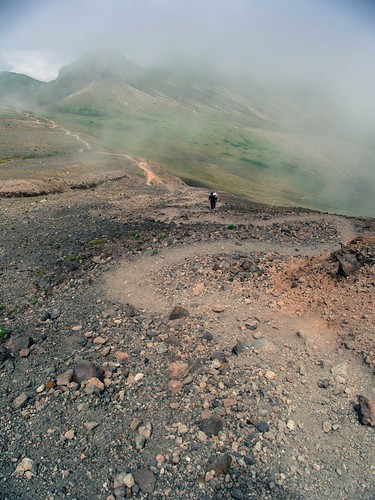 Winding trail