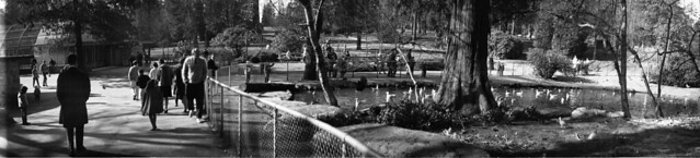 1967-03 Stanley Park