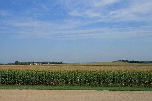 field corn farm south dakota sisseton