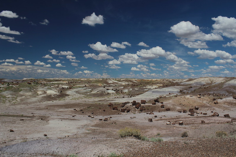 Crystal Forest, Petrified Forest National Park, Arizona