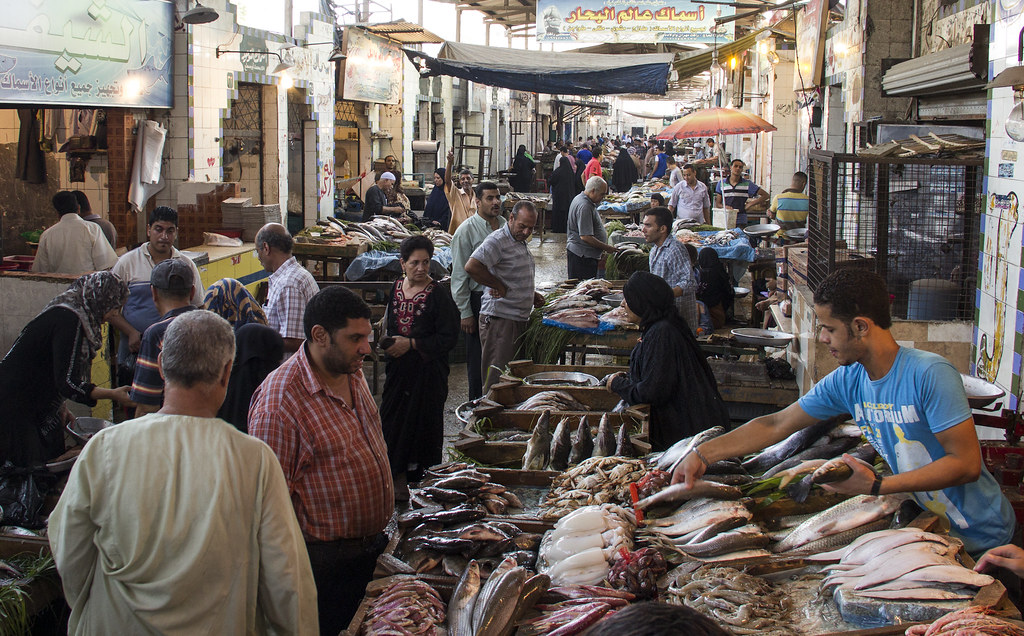 Fish market, Cairo, Egypt. Photo by Samuel Stacey, 2012. | Flickr