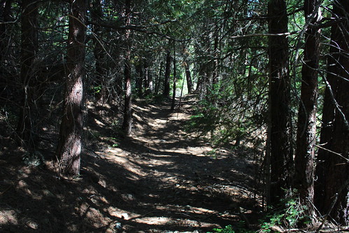 obrien creek trail grayback mountain boundary rogue river siskiyou national forest selma grants pass oregon hiking