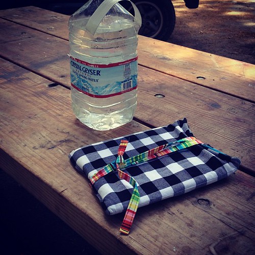 iPad cover | by mojave wrangler