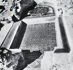 Palace (Khirbet el Mafjar): Audience chamber in the bath: mosaic floor