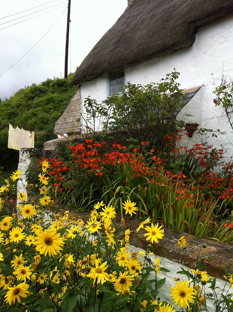 Cadgwith Cottage